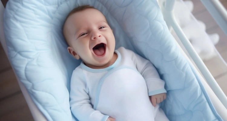 Ninho Para Bebe 2